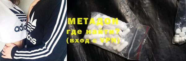 гашик Алексин