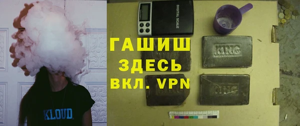 гашик Алексин