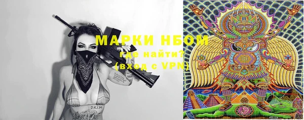 гашик Алексин
