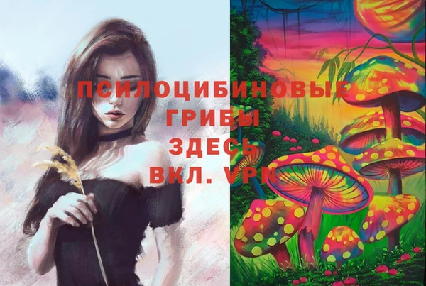 спиды Абдулино