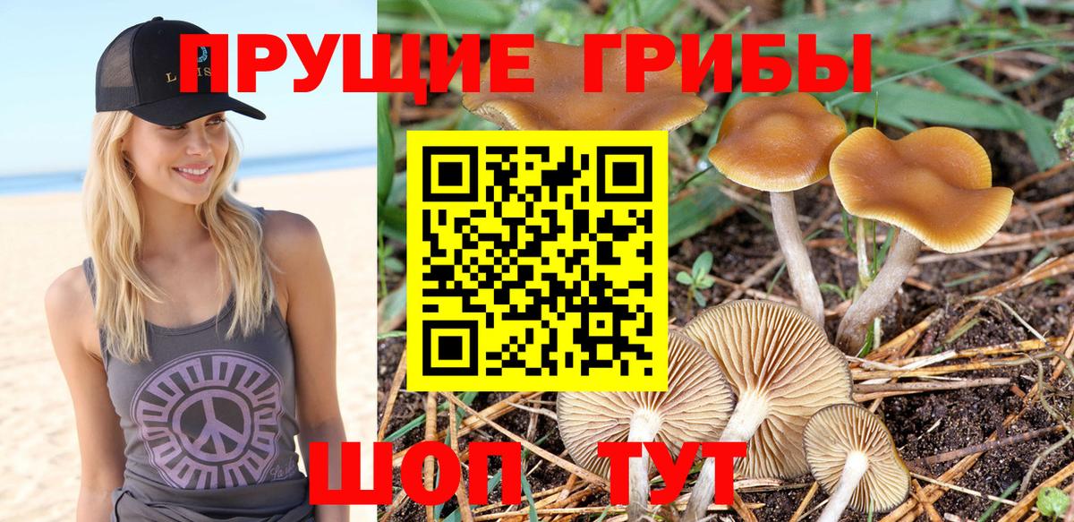 купить  сайты  Галлюциногенные грибы ЛСД  Вход с VPN  Казань 
